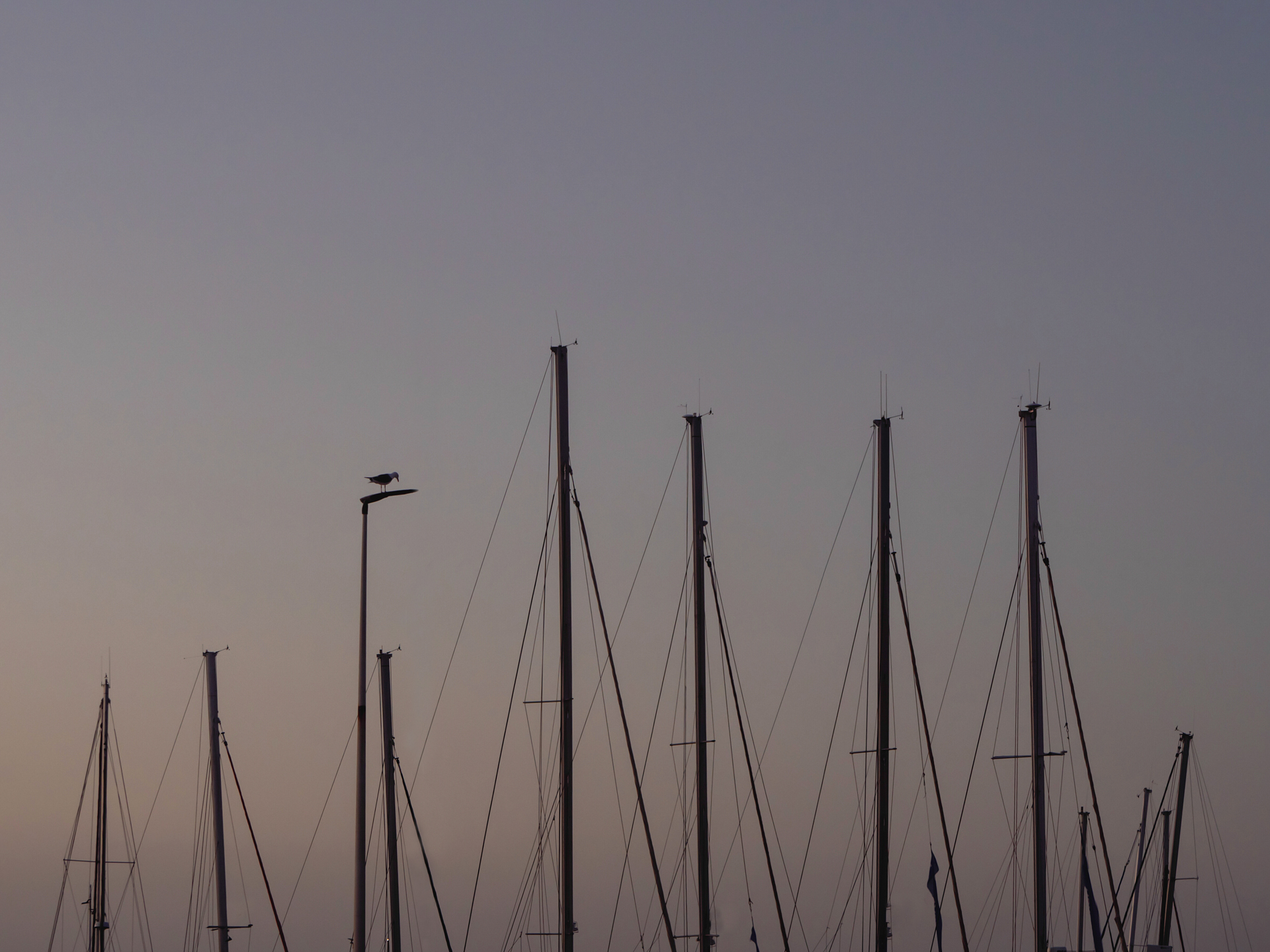 Am Hafen