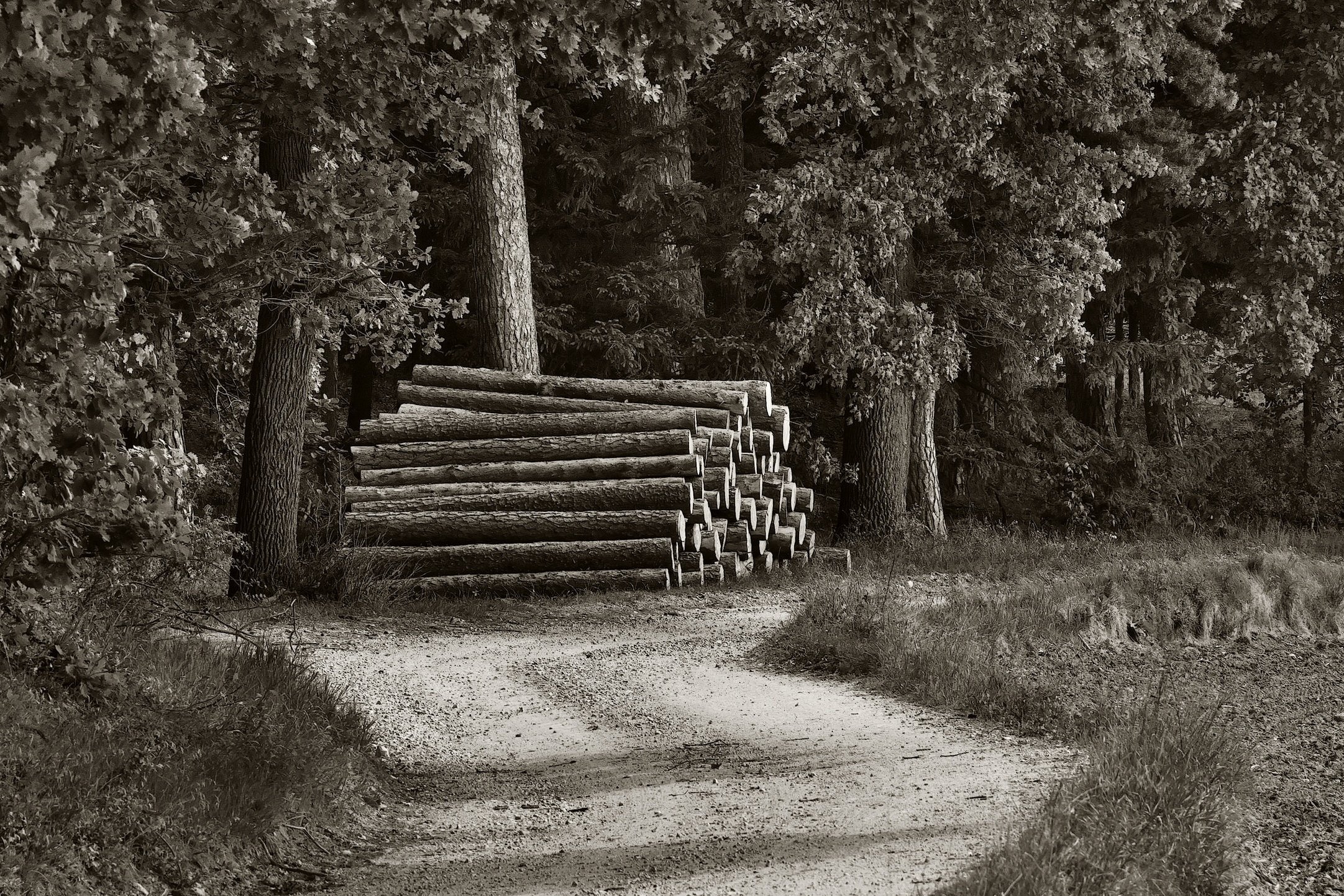 am Holzweg 2