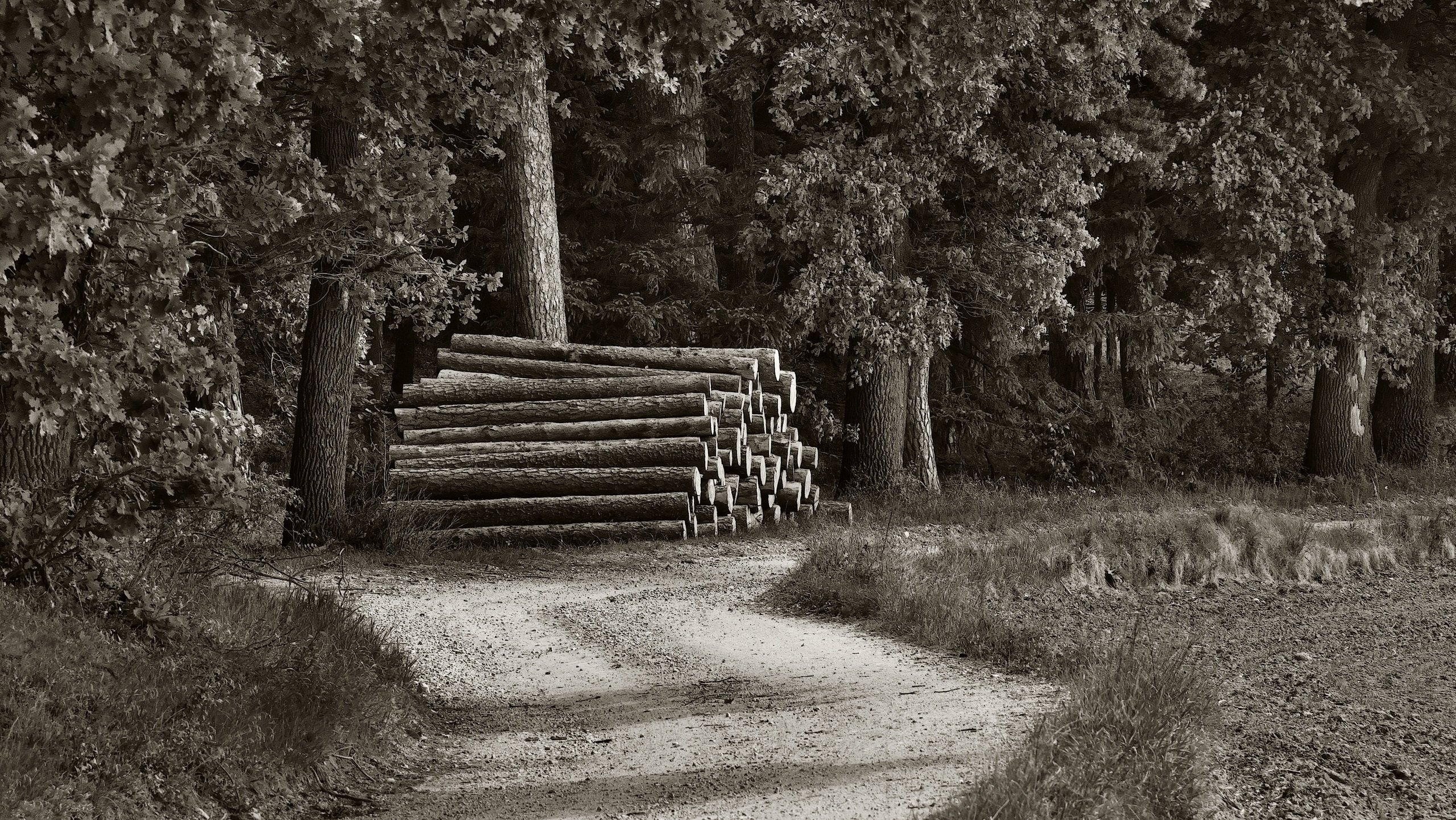 am Holzweg