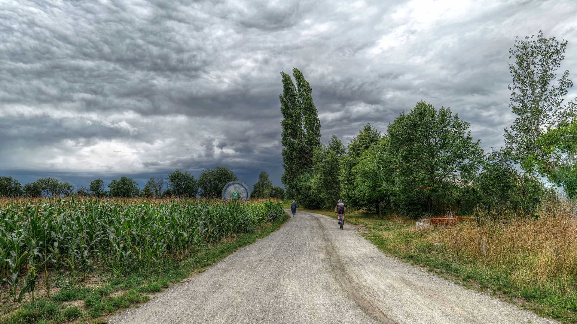 Am Marchfeldkanal (2)