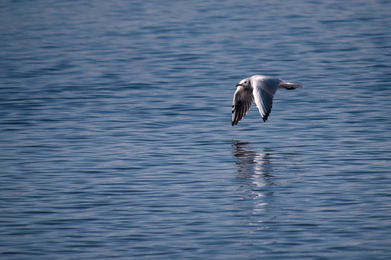 Am Meer