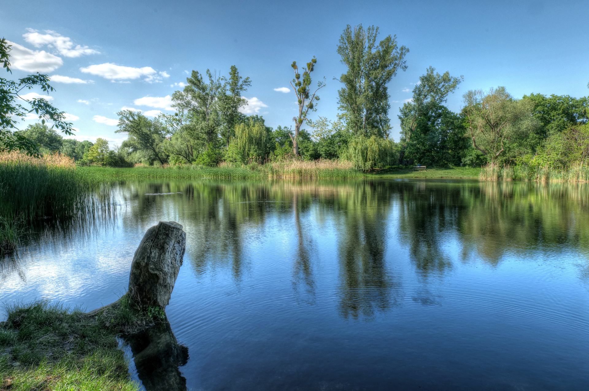 Am Mühlwasser