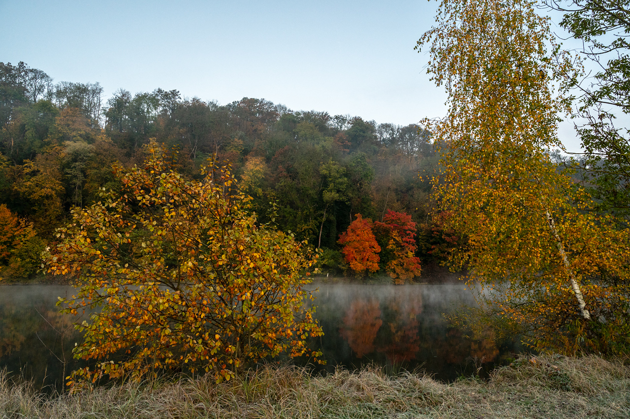 Am Neckar