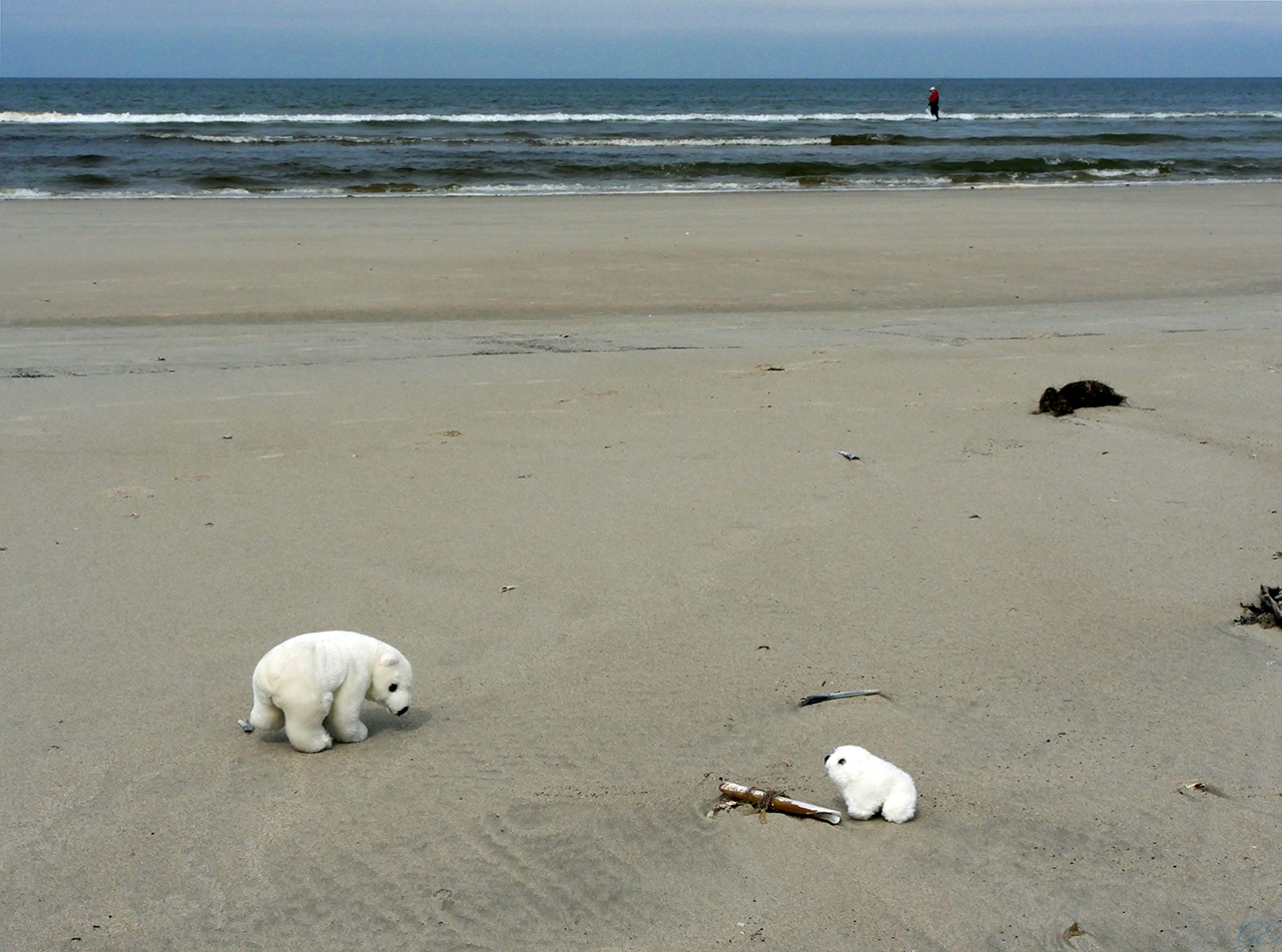 Am Nordseestrand