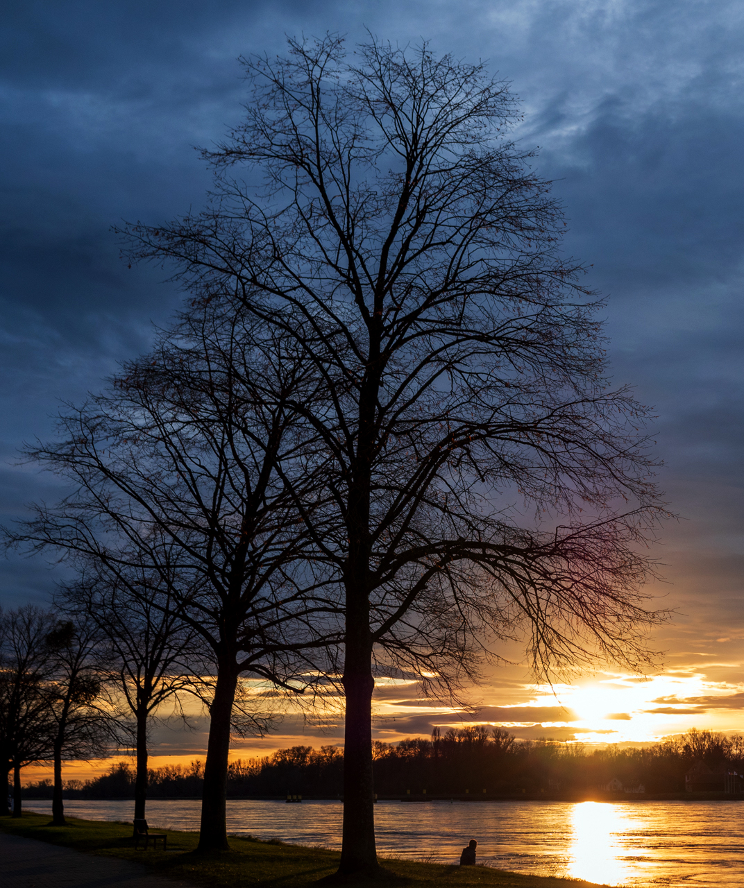 Am Rhein die Sonne genießen