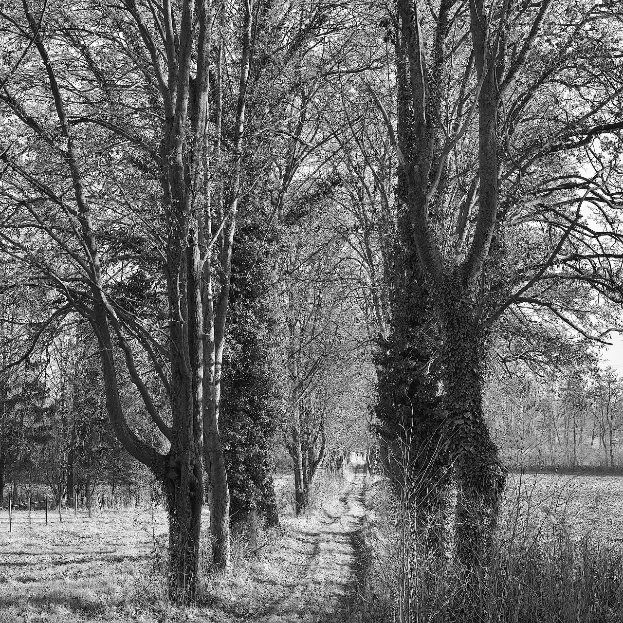 am richtigen Weg