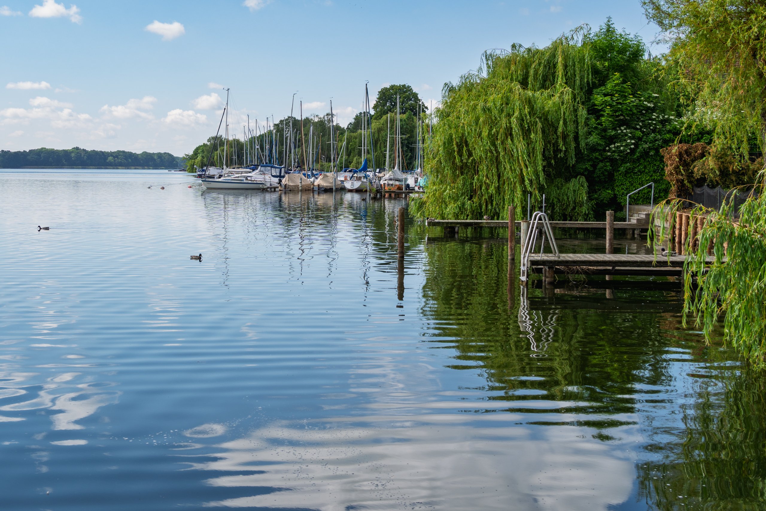 Am Ruppiner See