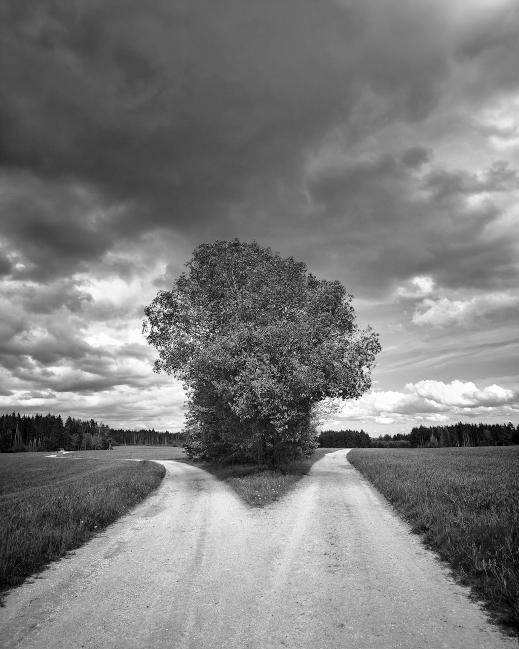 Am Scheideweg