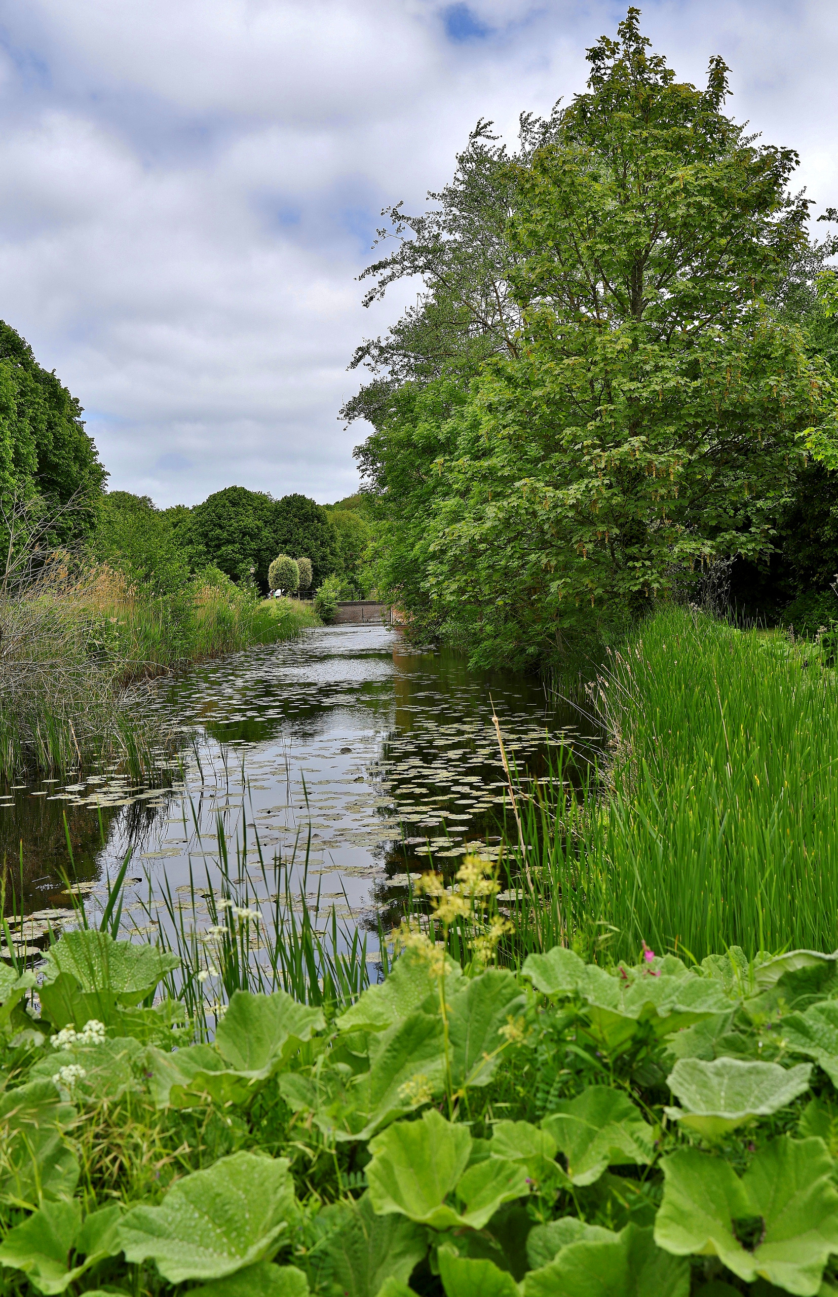 Am Schlossteich