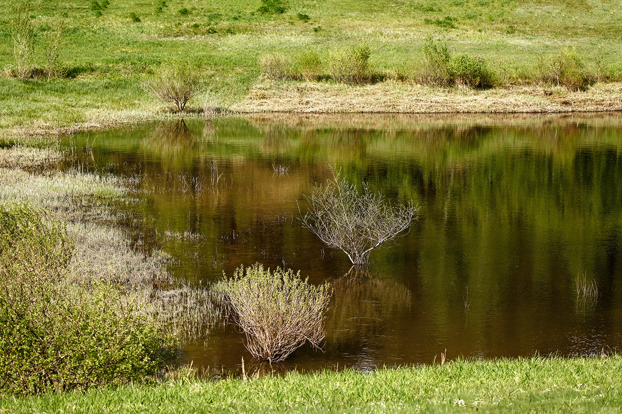 Am See