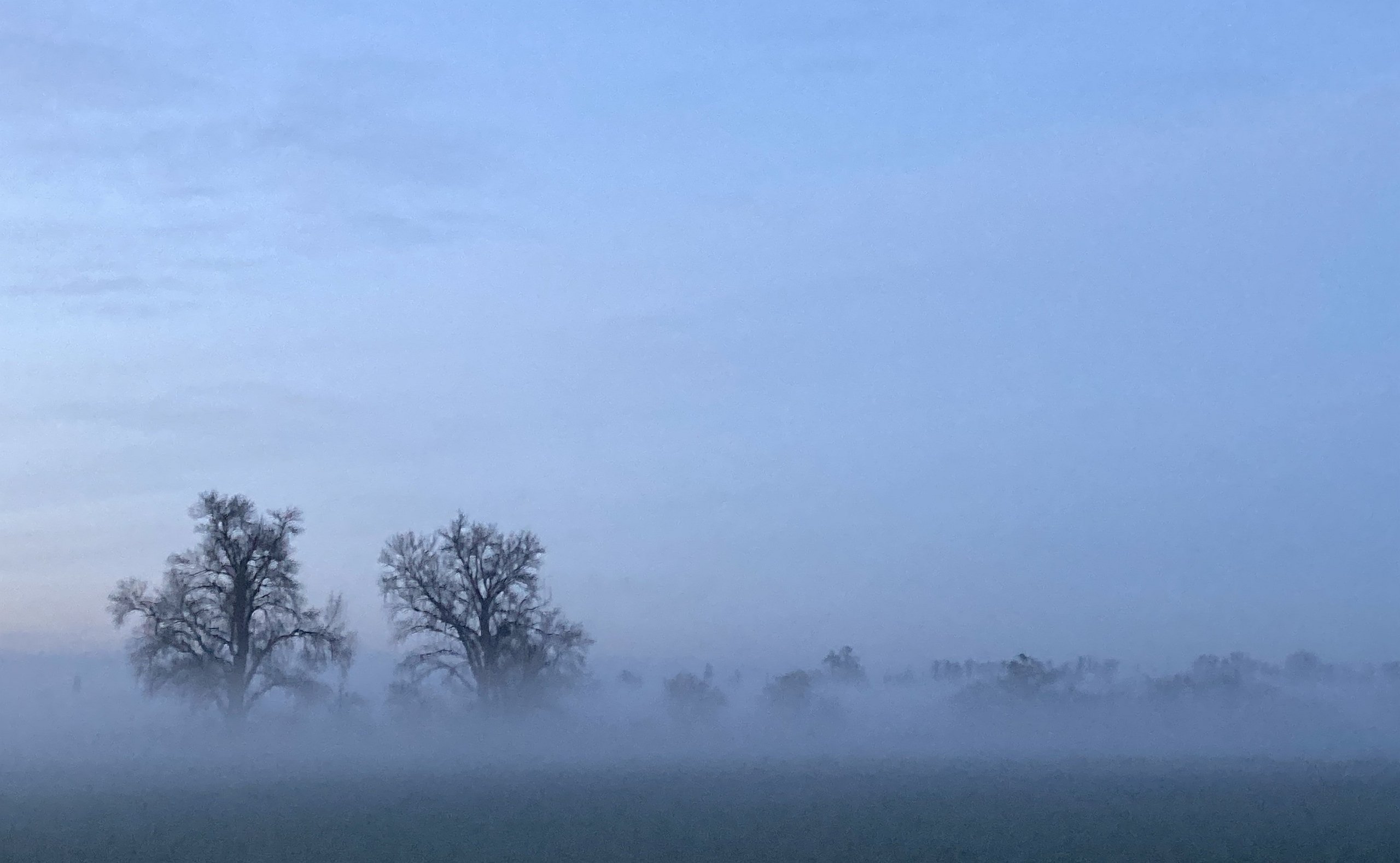 Am Tag als der Nebel kam