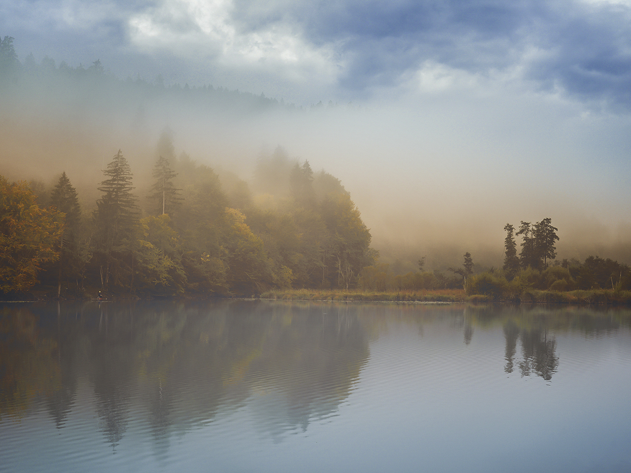 Am Teich .jpg