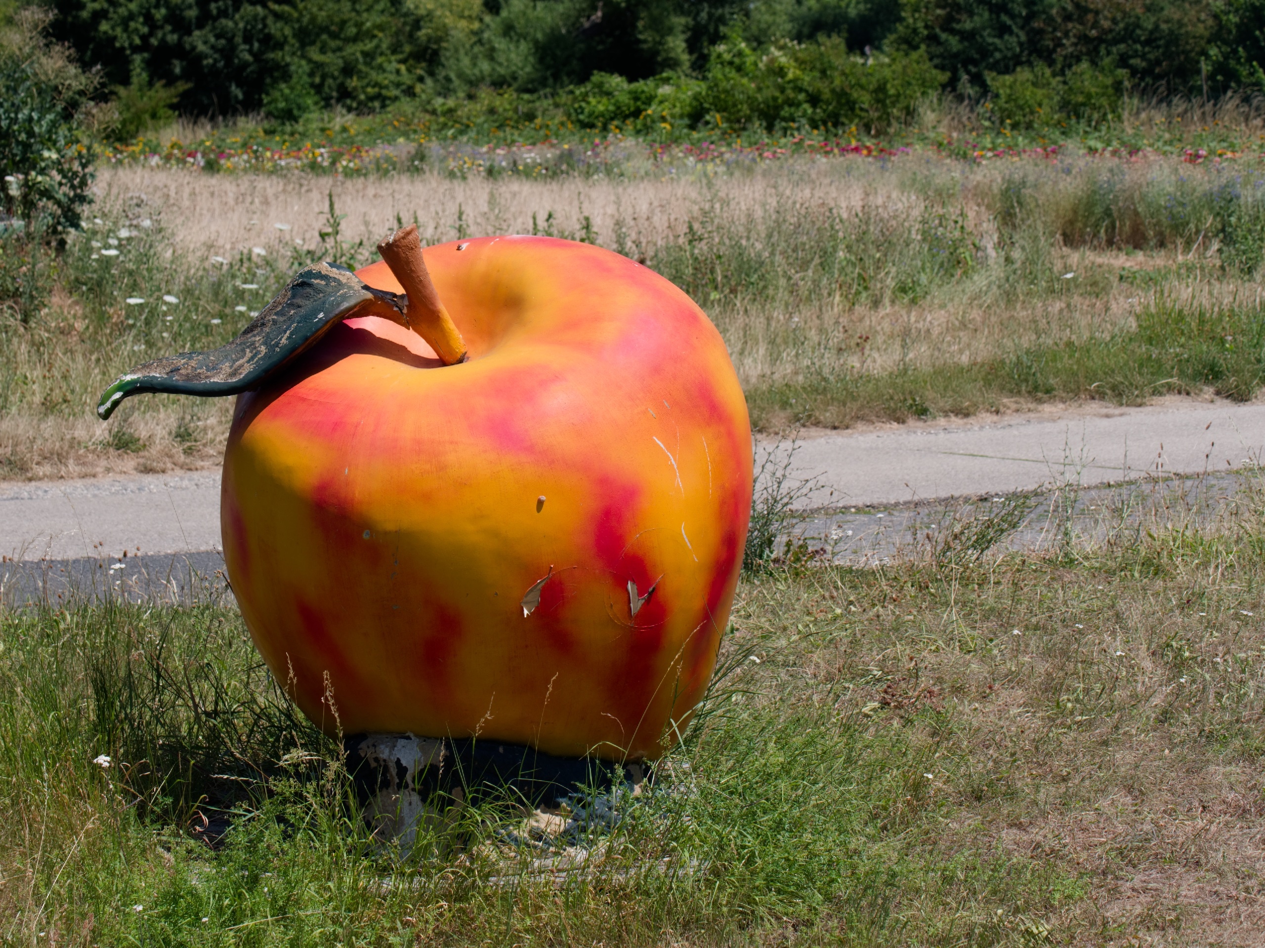 An apple a day ....