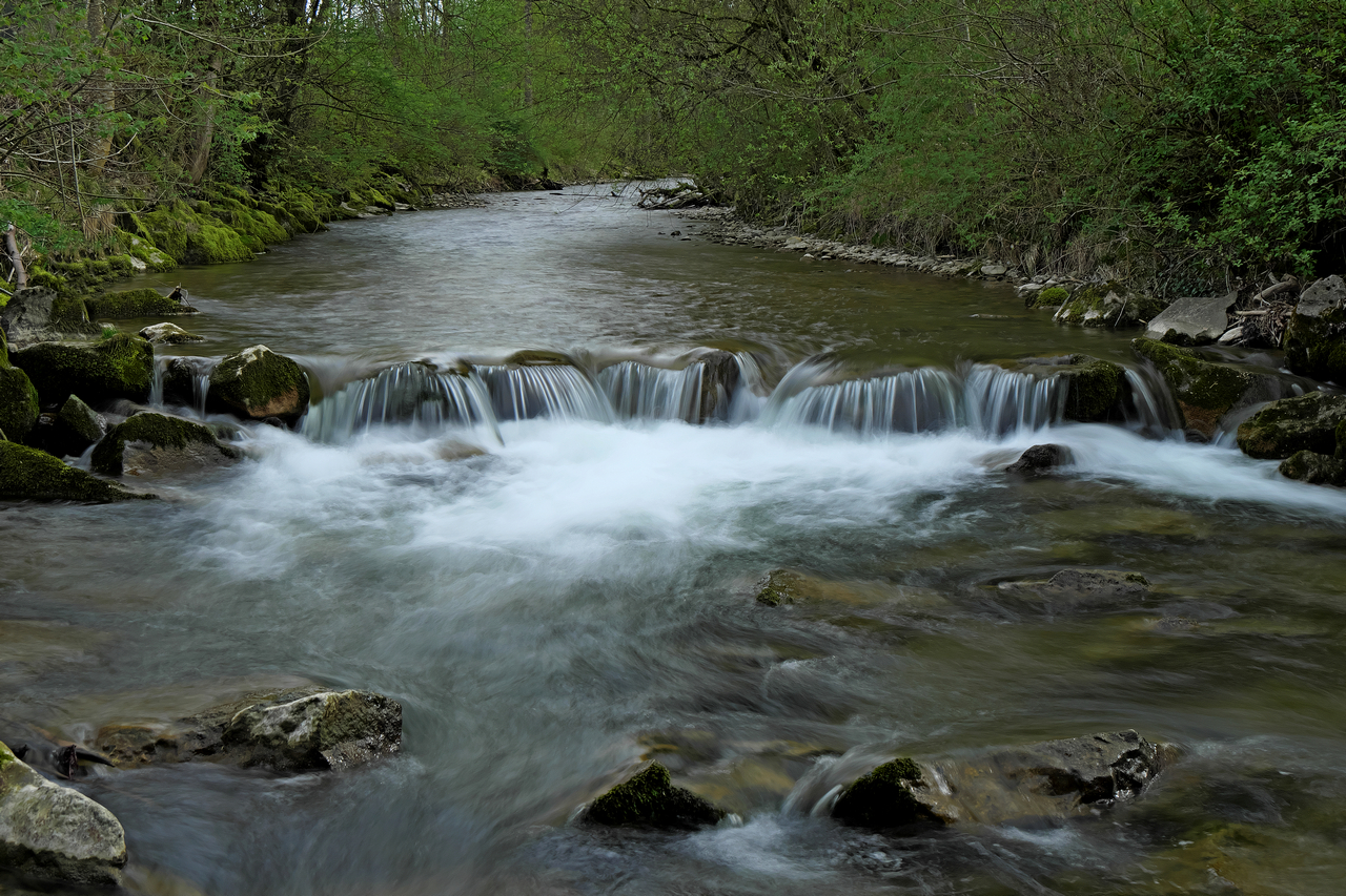 An der Eschach.