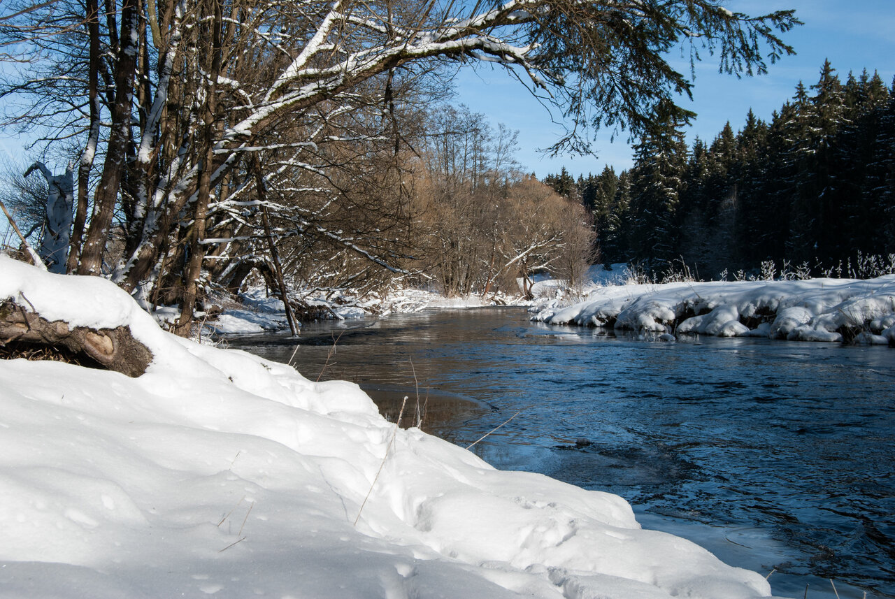 An der warmen Bode...