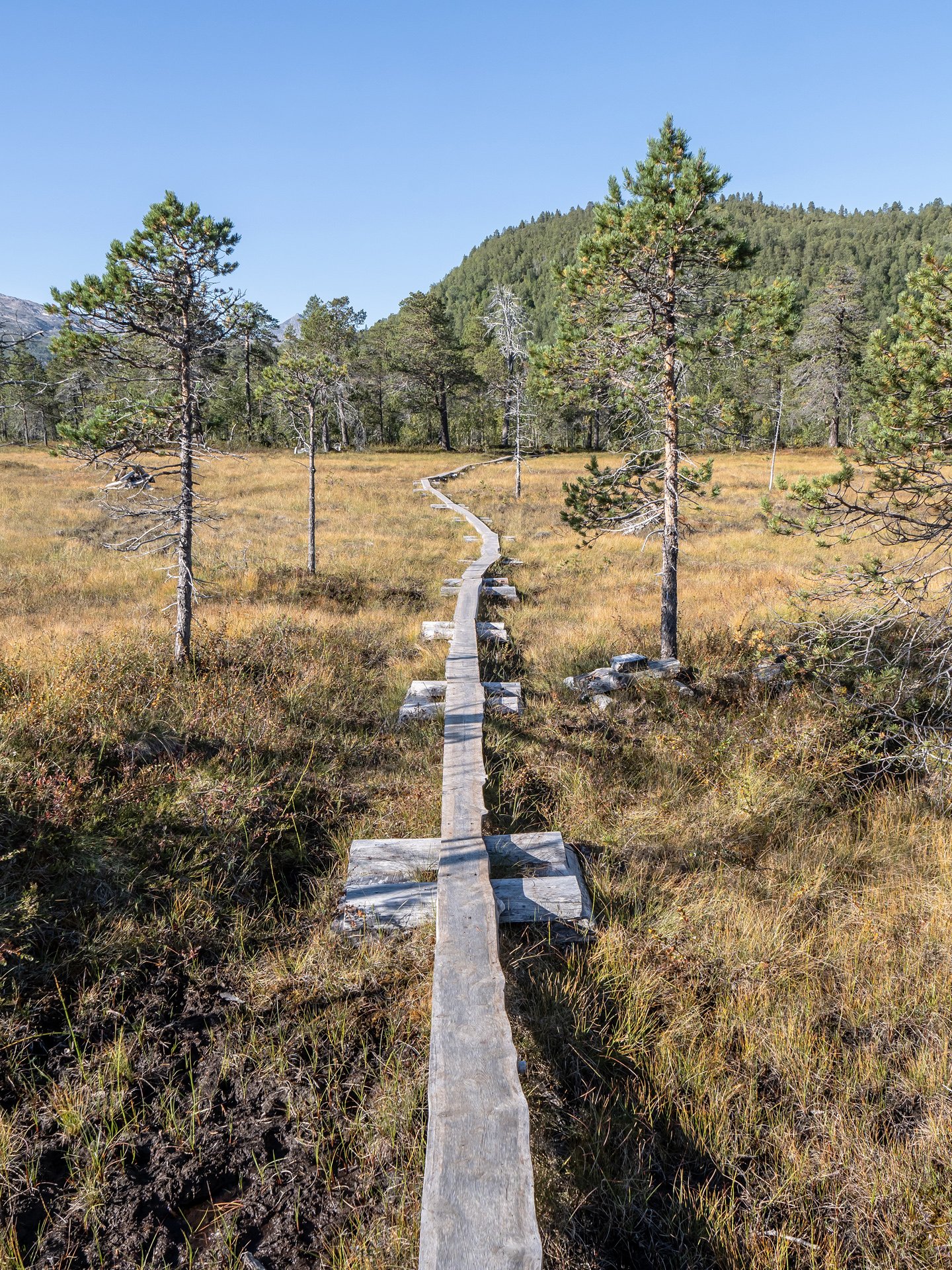 Ånderdalen-Nationalpark (2)
