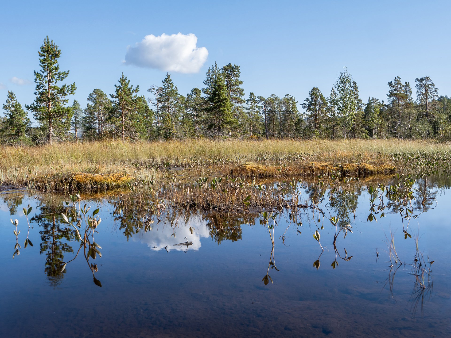 Ånderdalen-Nationalpark