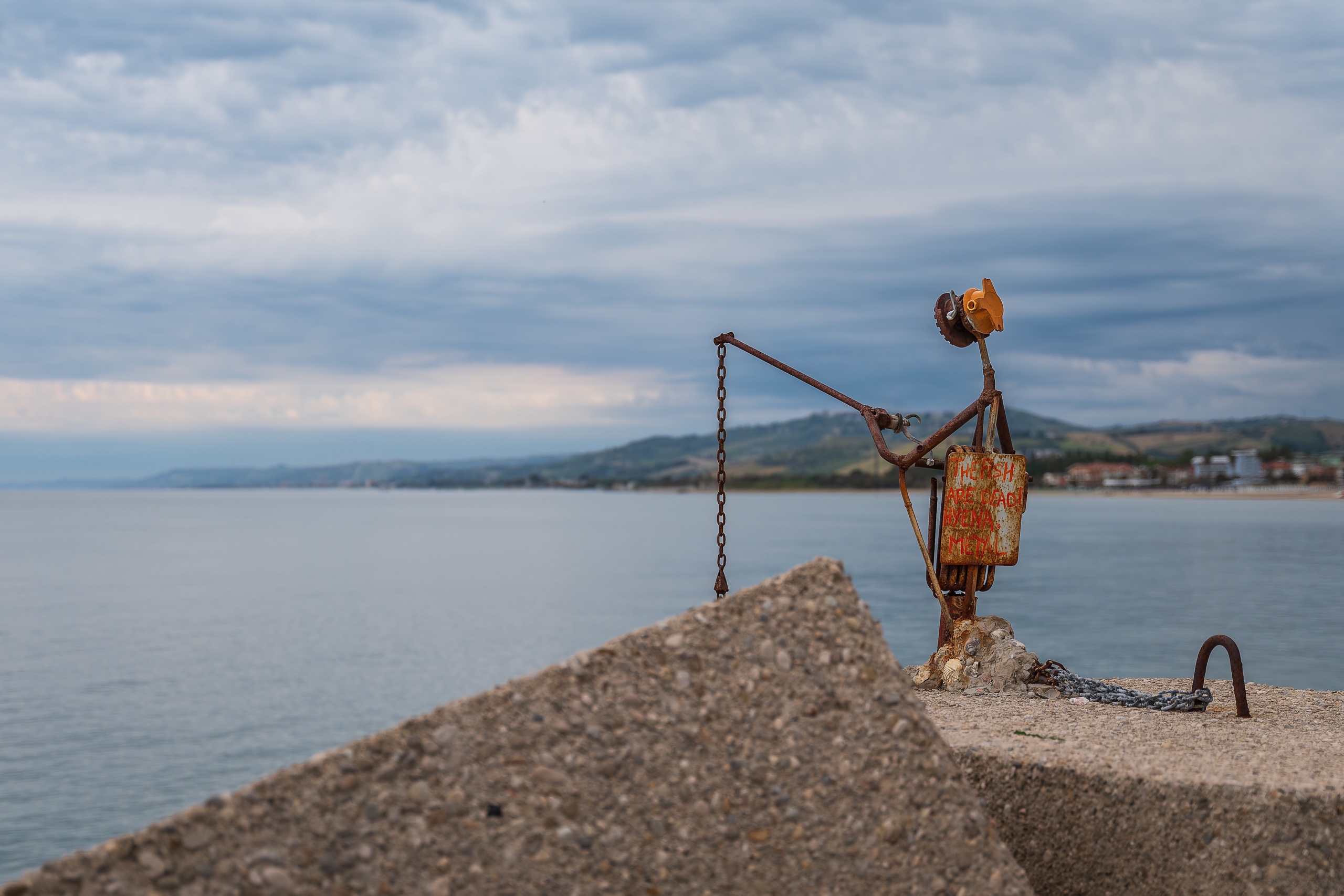 Angler