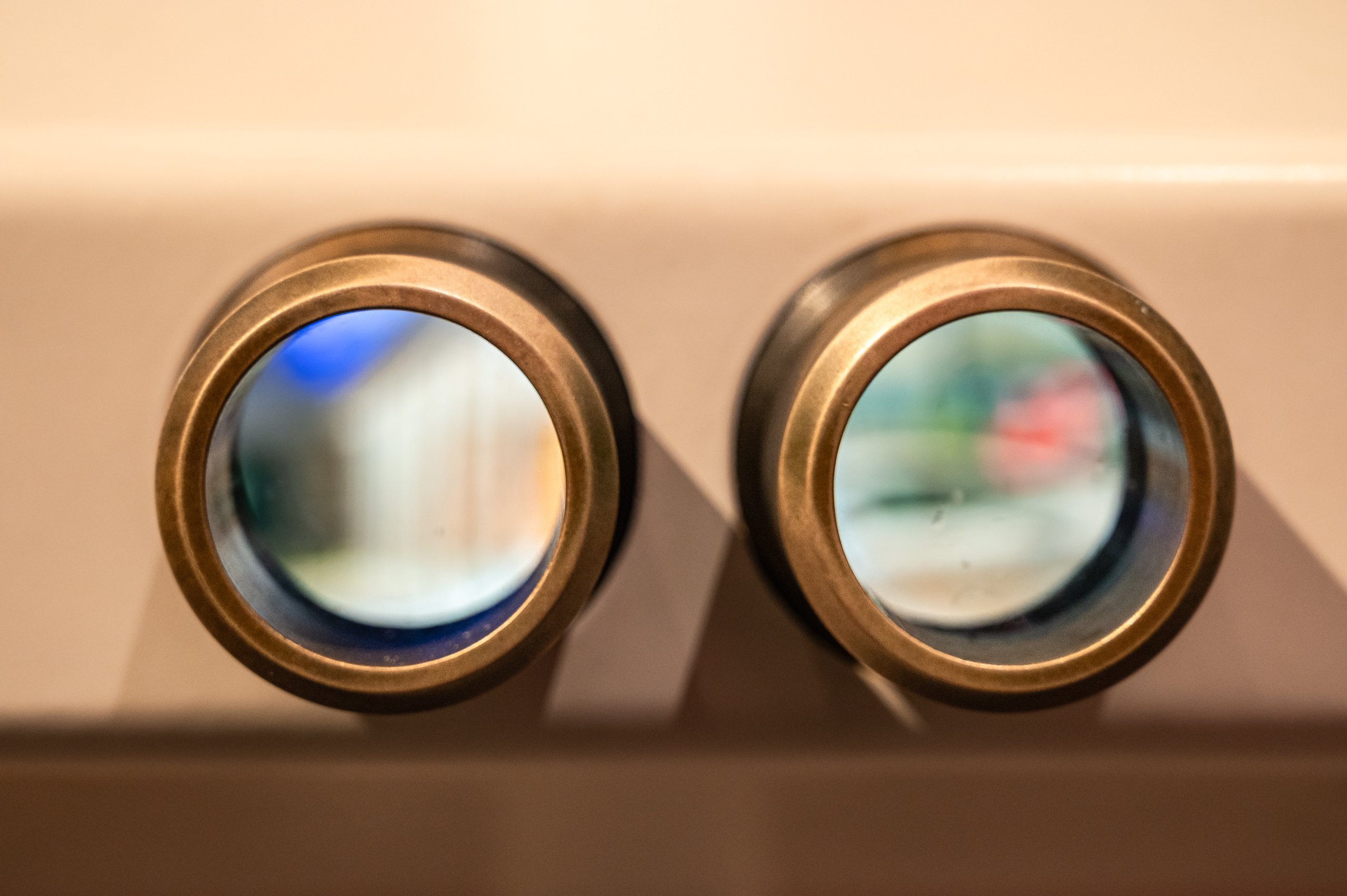 Anscheinend_ein_Fernglas_Liebling-2026-03.jpg