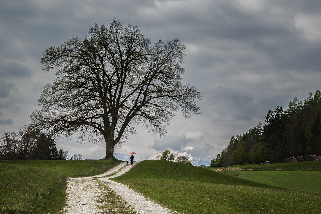 Aprilwetter  .jpg