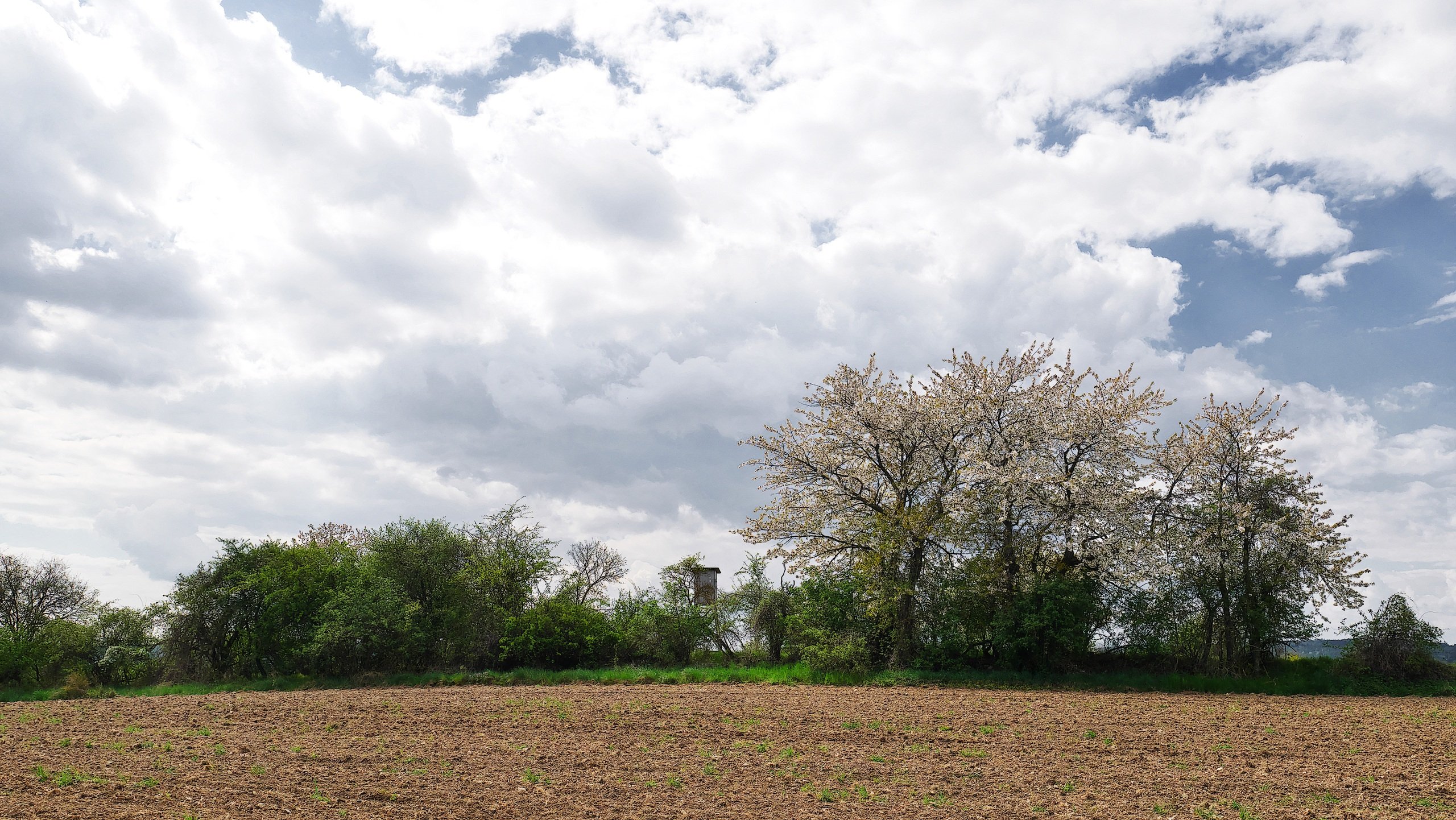 Aprilwetter