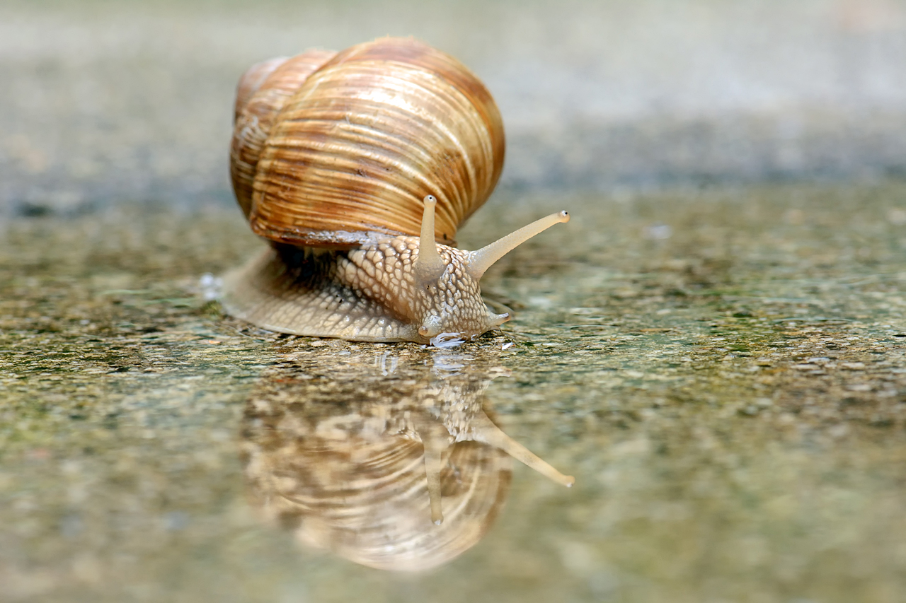 Aquaplaning