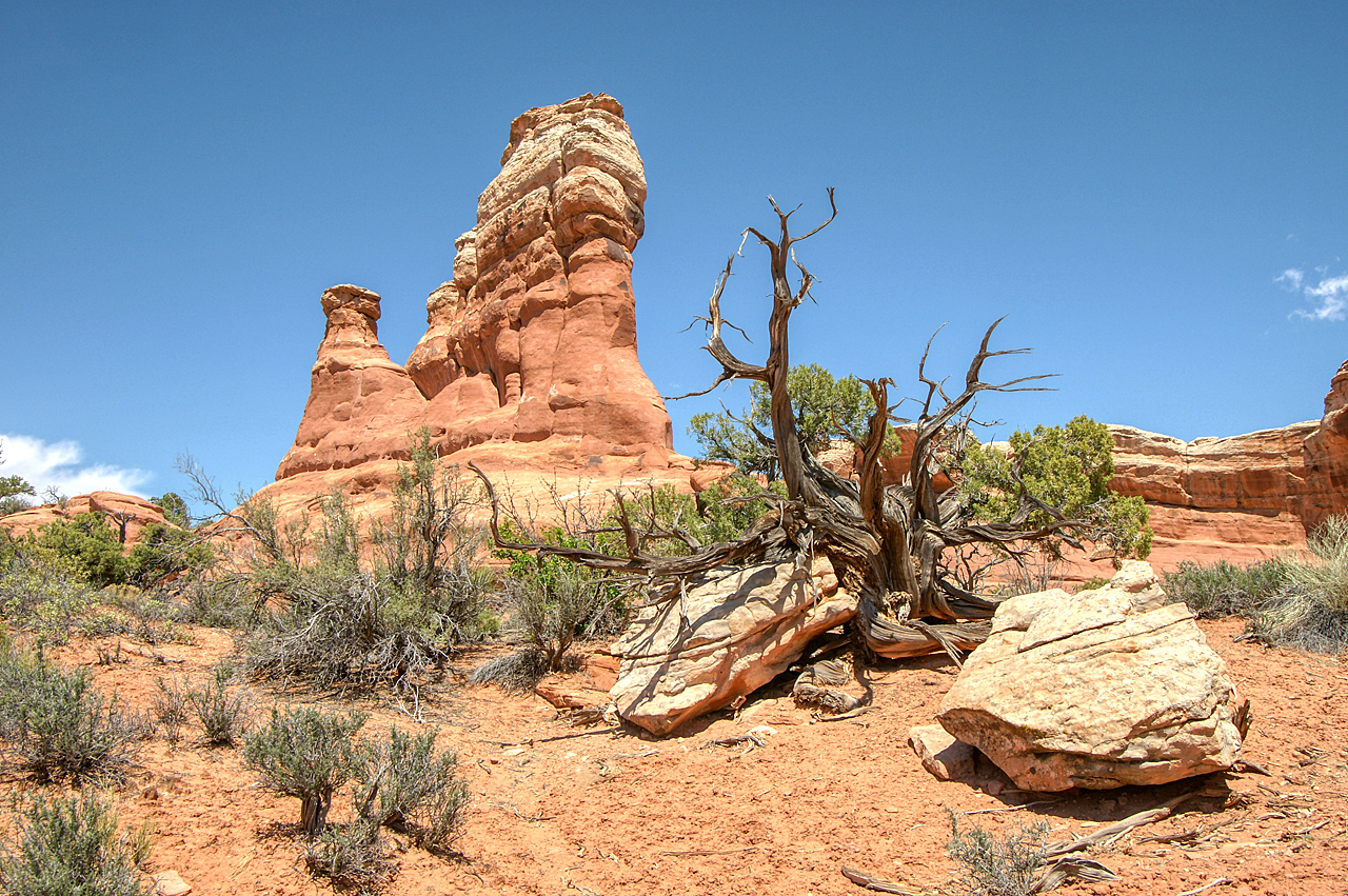 Arches N.P.