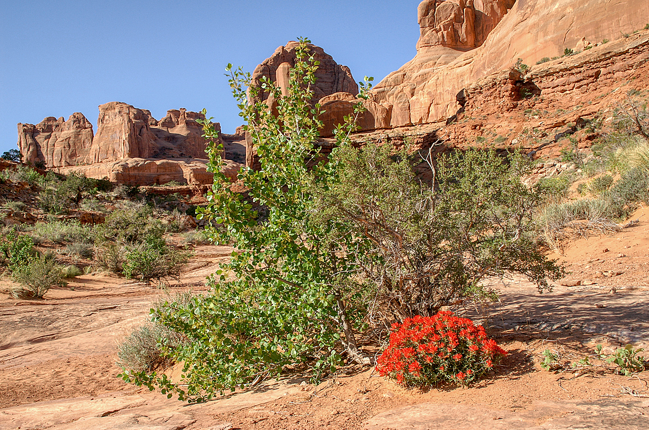 Arches N.P.