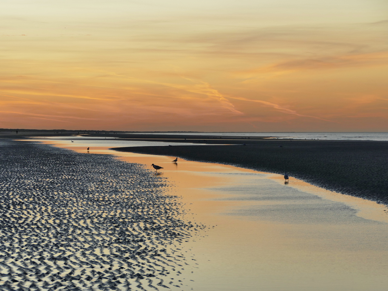 Auf Ameland