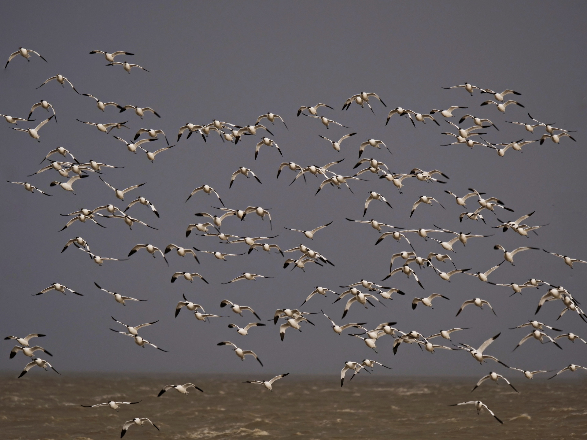 Auf Ameland