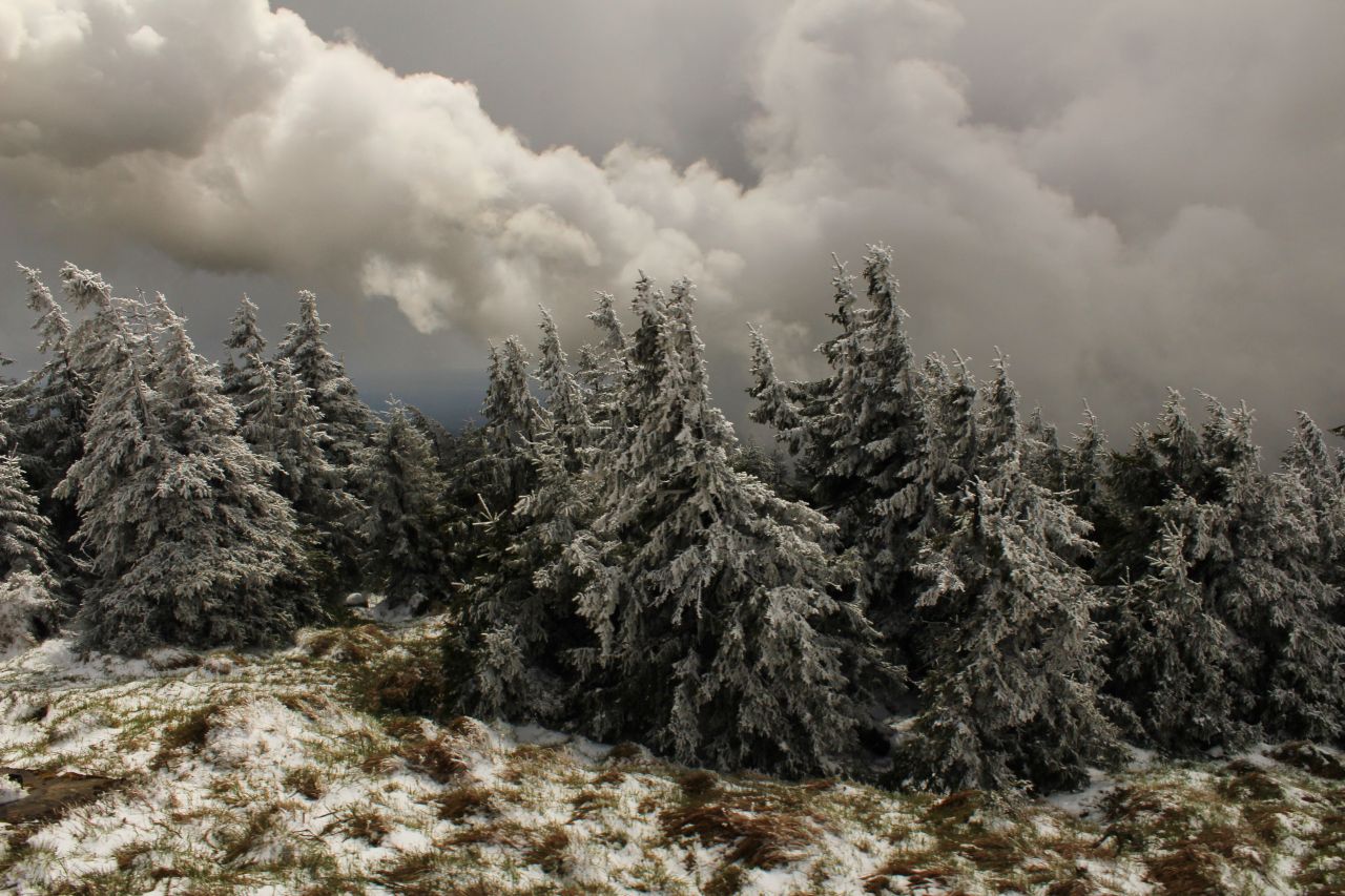 Auf dem Brocken