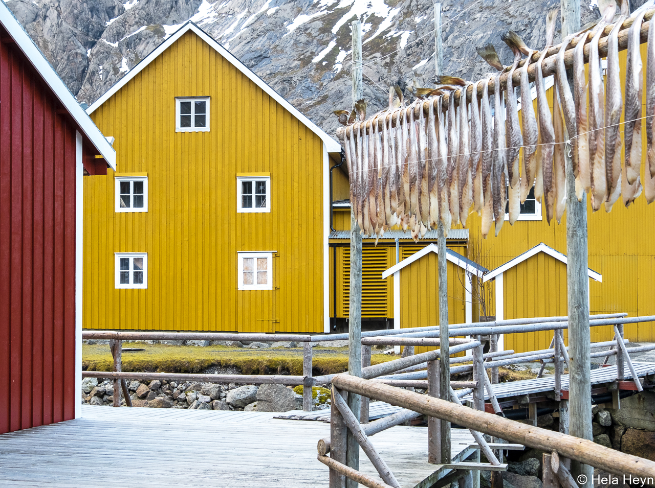 auf den Lofoten - nun auch bisschen heller, Dank an Ralf !