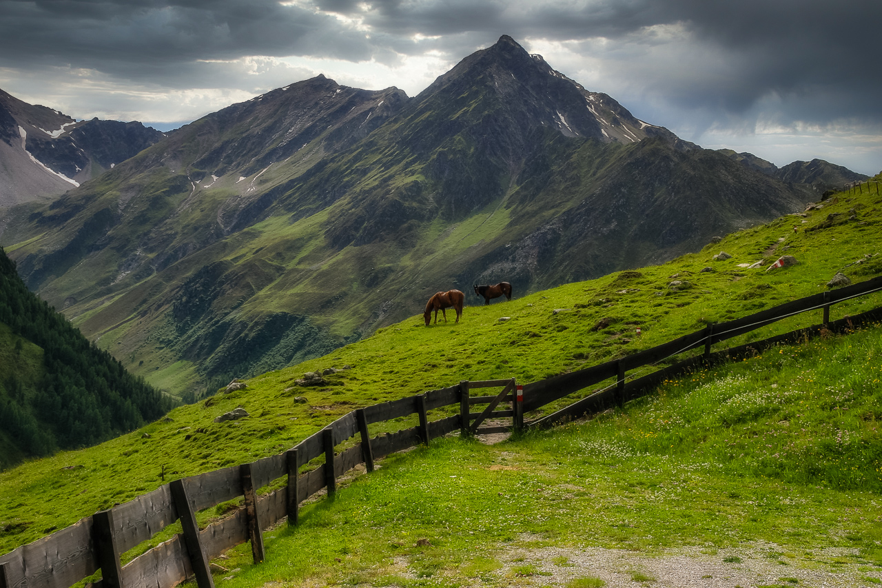 auf der Alm...