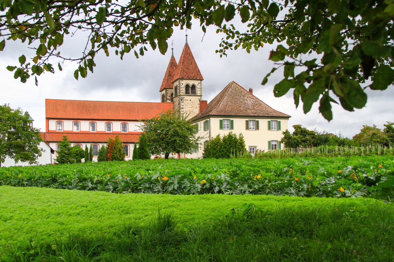 auf der Gemüseinsel