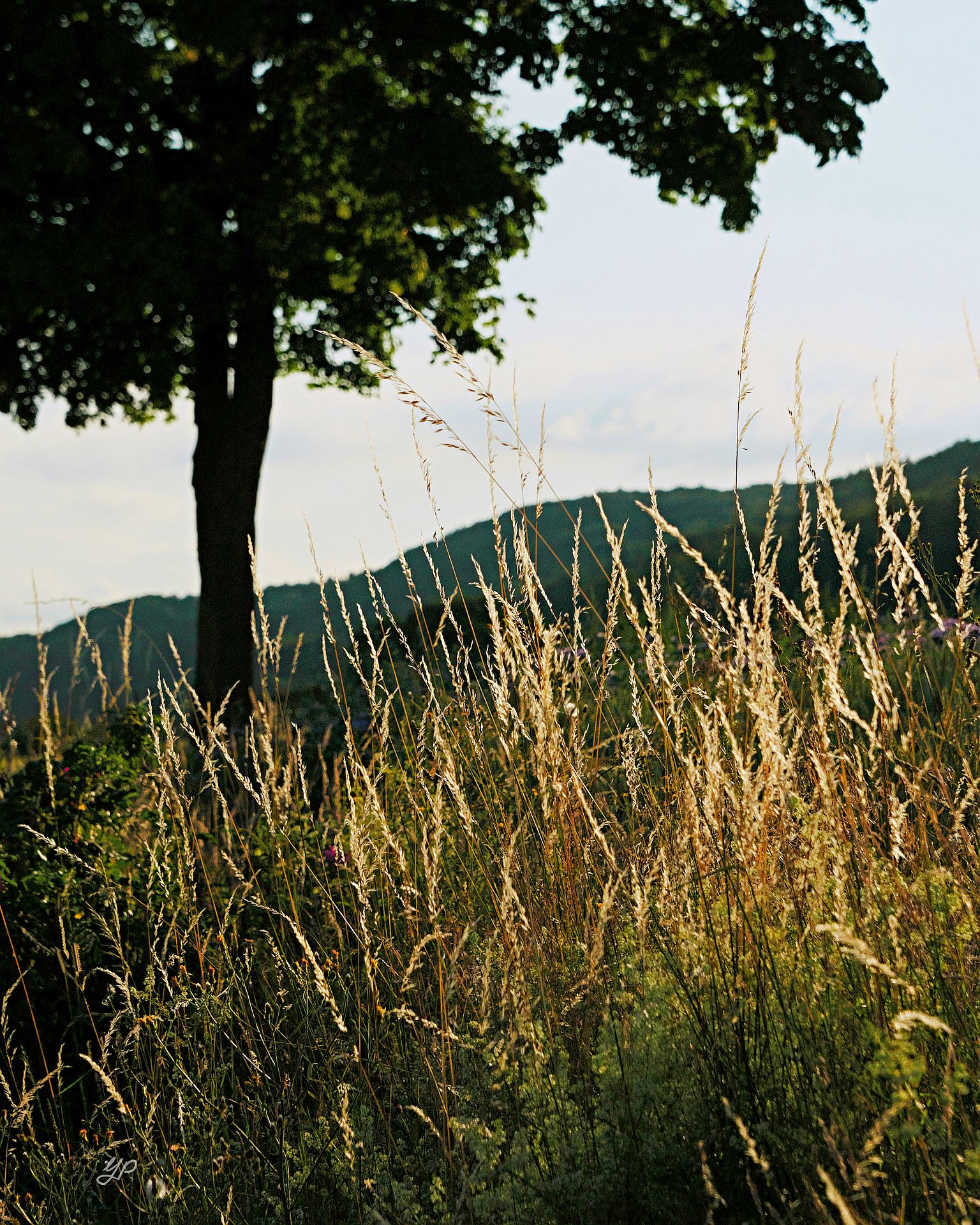 Aufleuchten