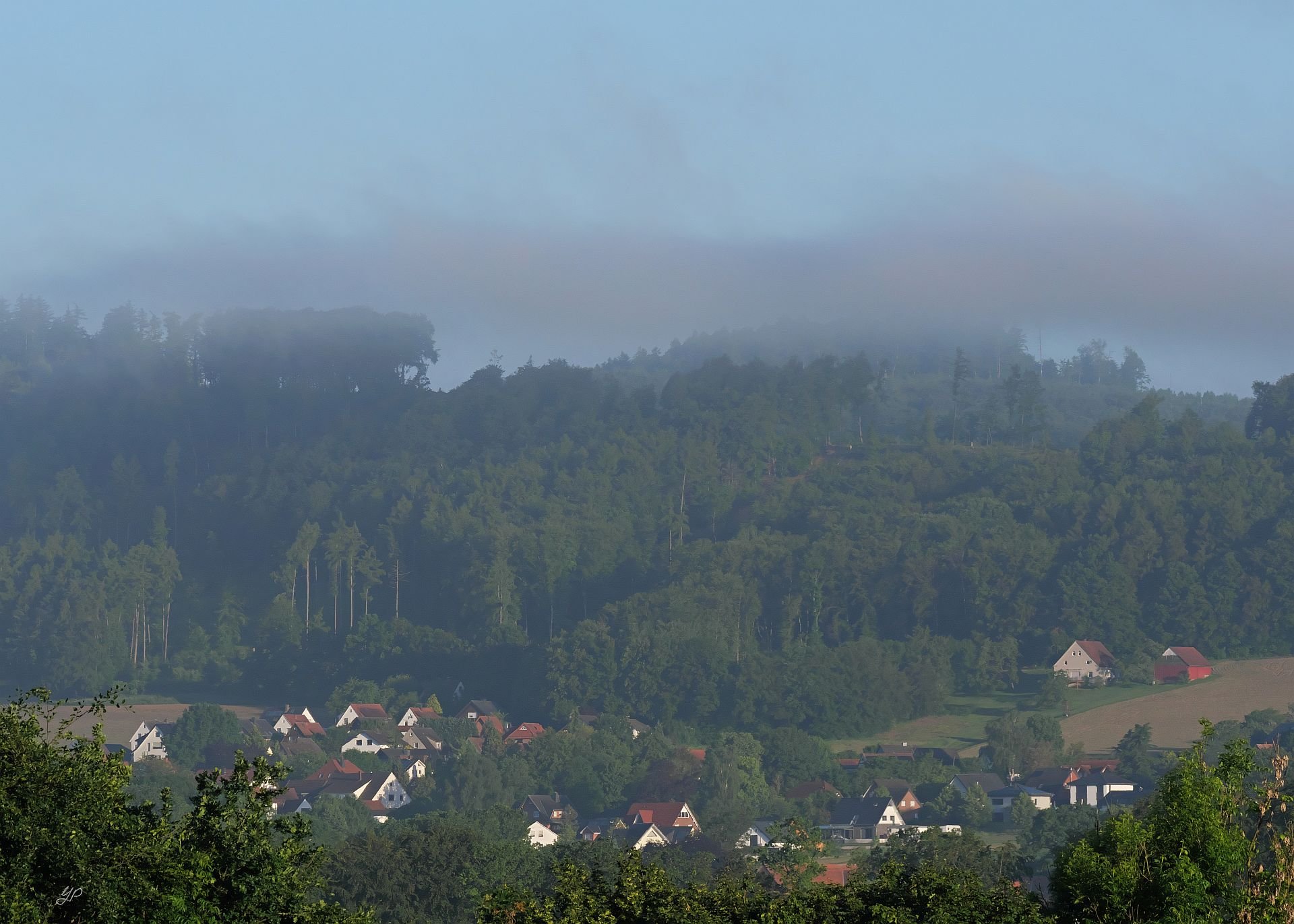 Aufsteigender Morgennebel