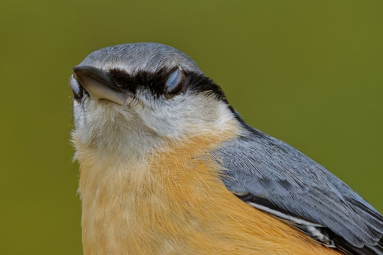 Augen zu und durch......