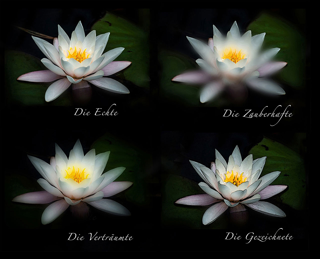 Aus 1 mach 4, und aus  4 wieder 1... ;-)