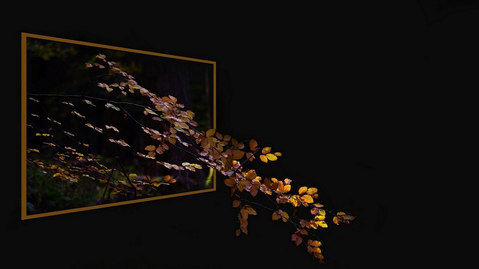 Aus dem Rahmen gefallen