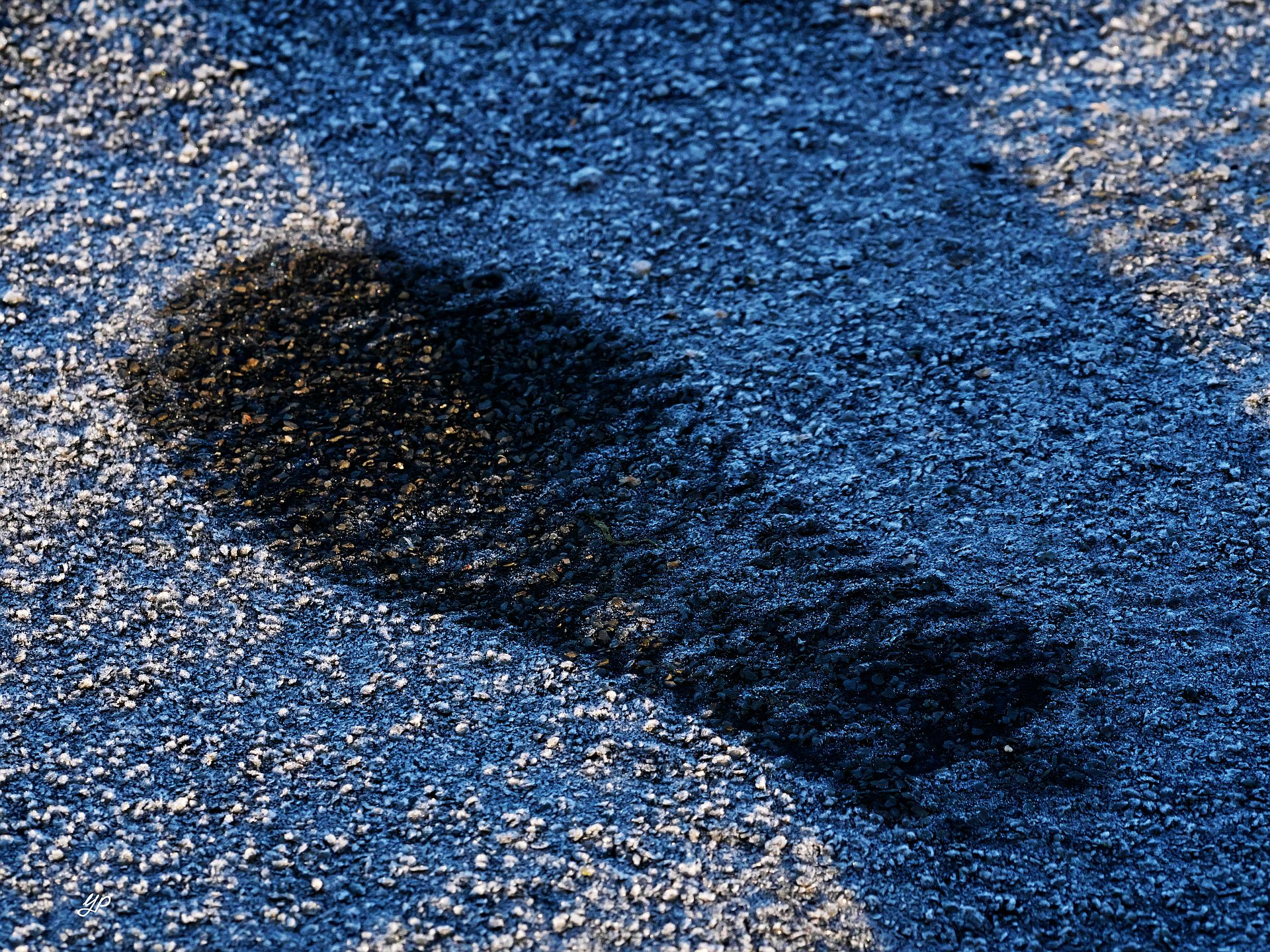 Aus dem Schatten getreten
