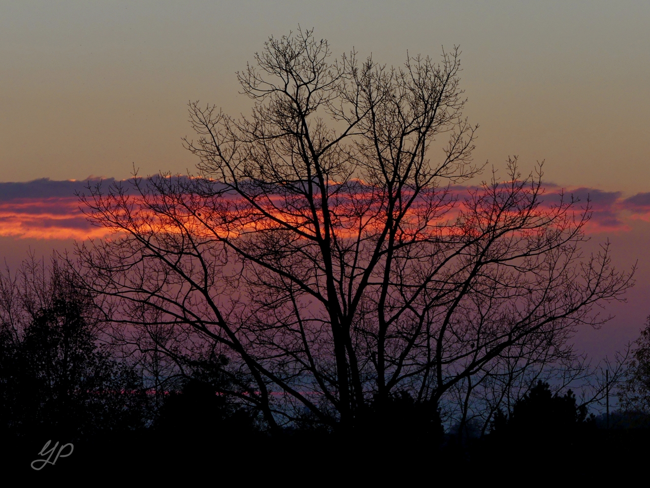 Aus heiterem Himmel