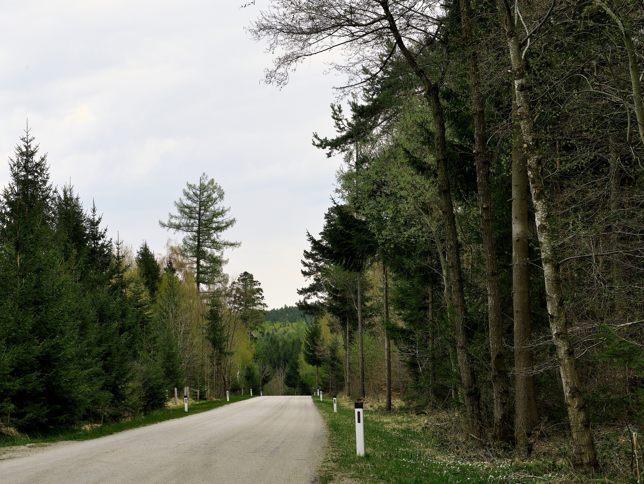 Ausflug in den Wald.