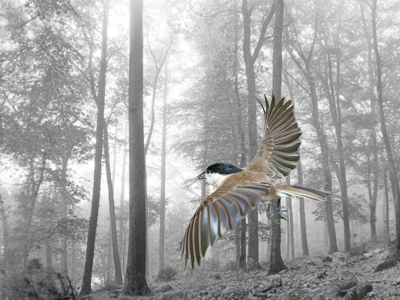 Ausgabe 2.   In den Raum hinein fliegen....... (HG ausgetauscht).