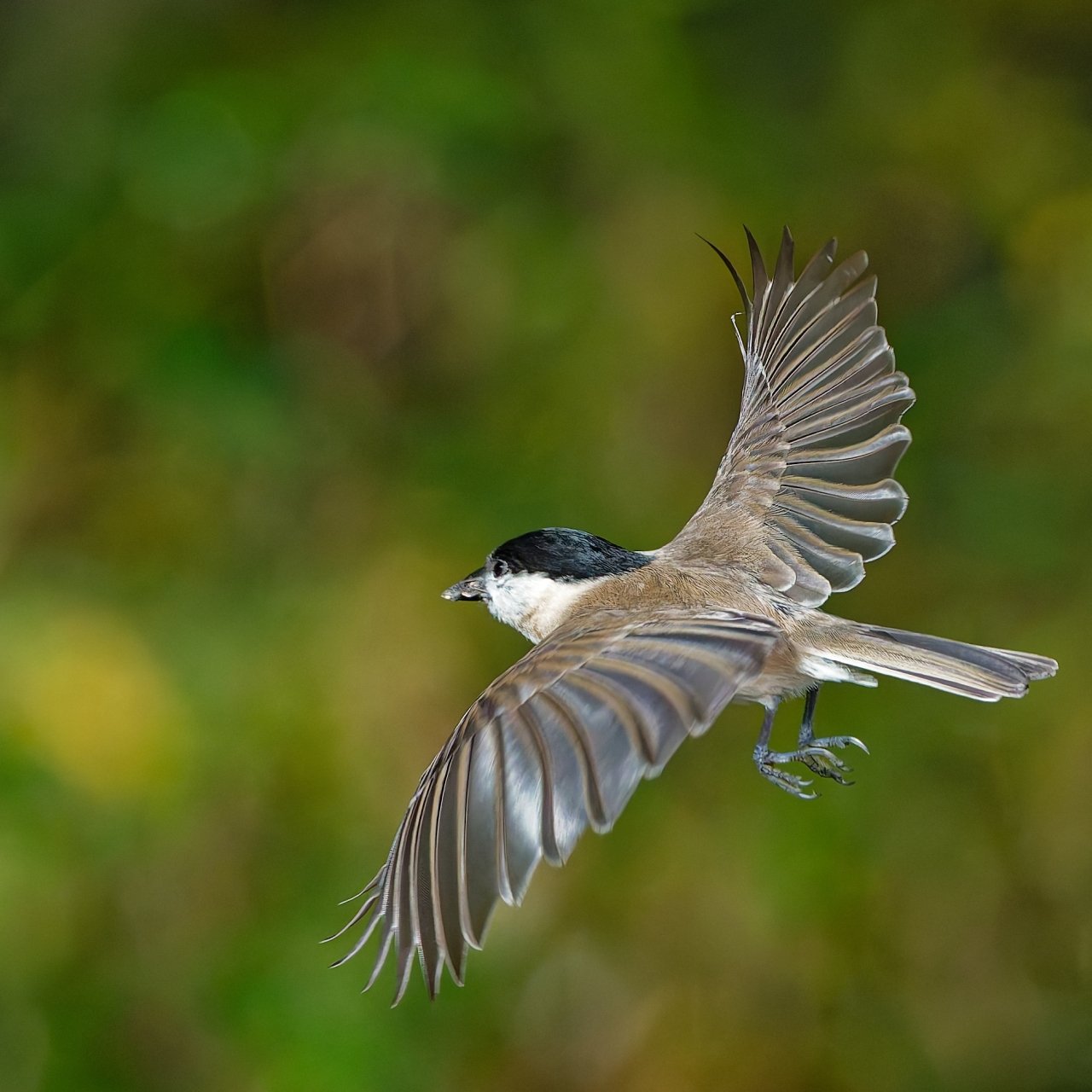 Ausgabe 3 - nach Empfehlung.