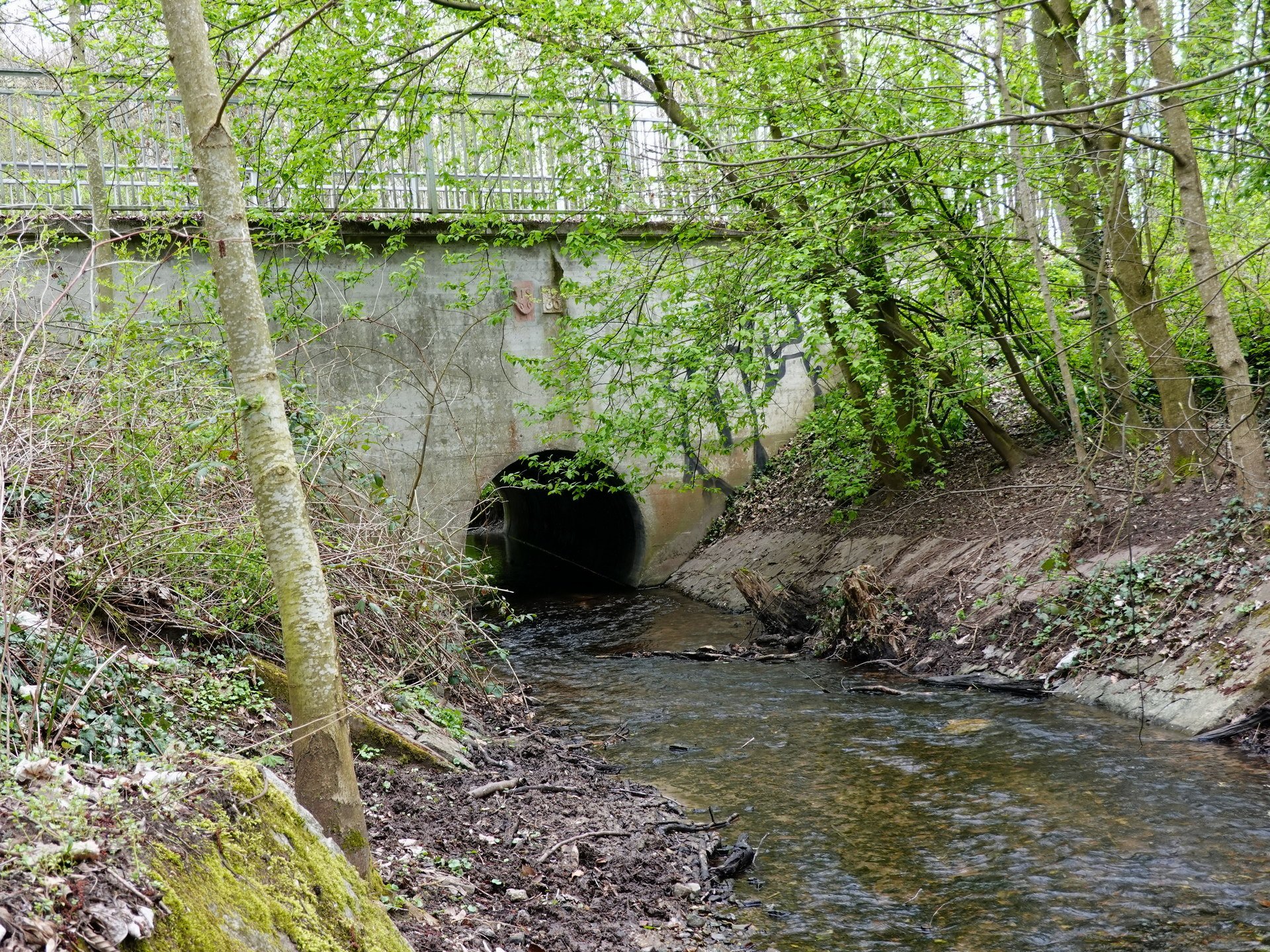 Bach unter der Straße
