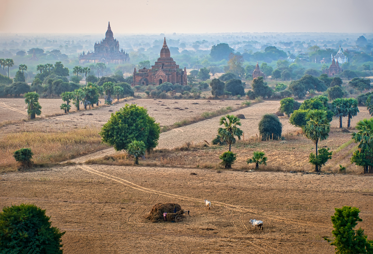 Bagan