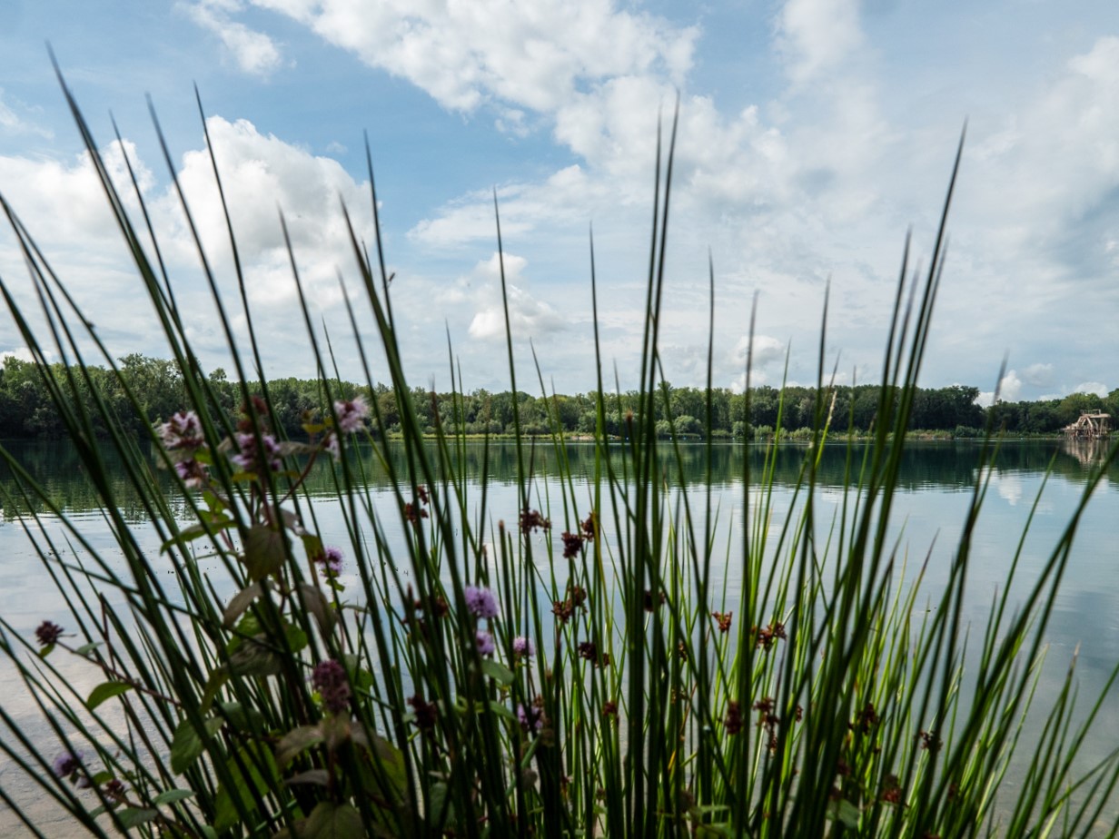 Baggersee