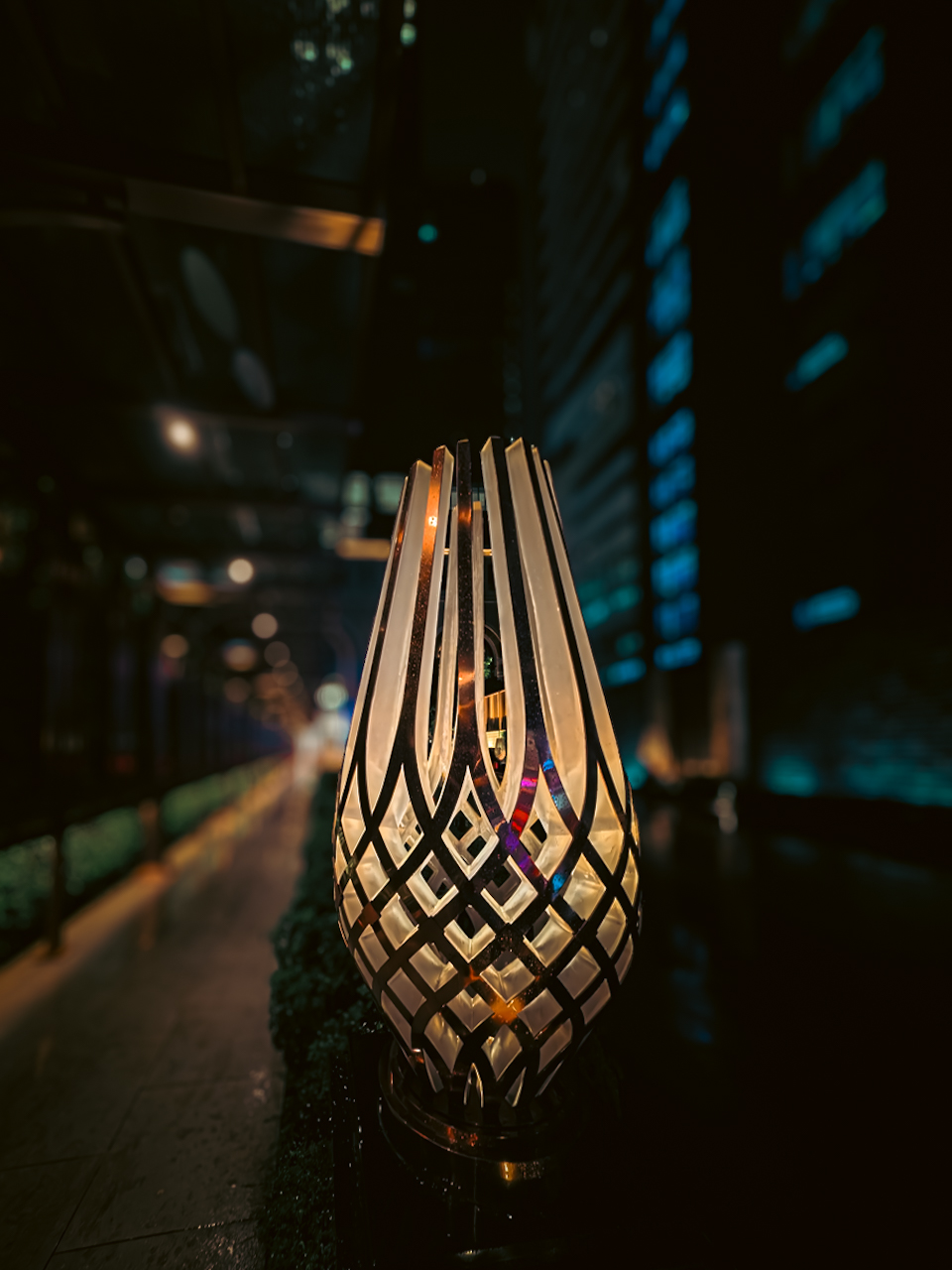 Bangkok Nights