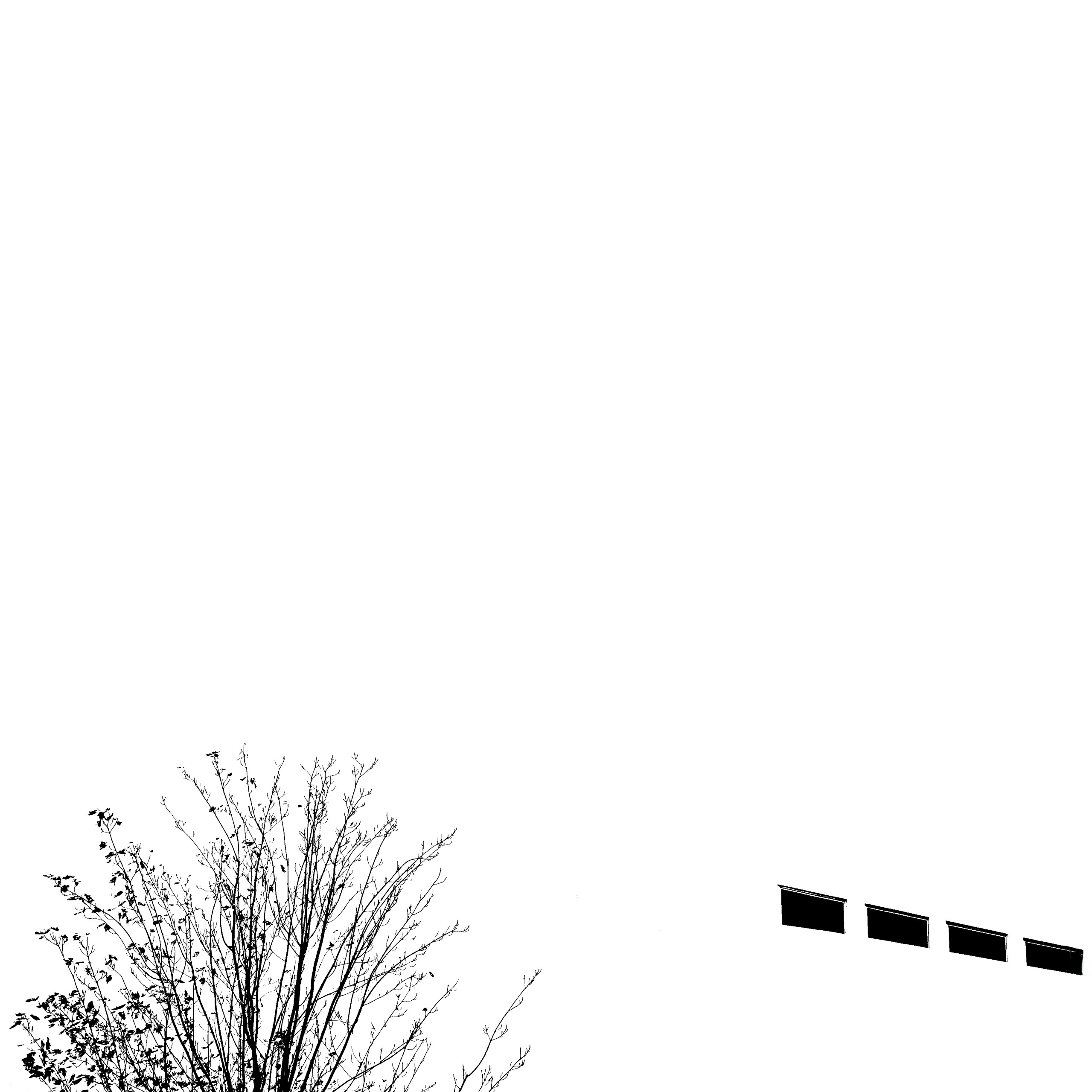 ... 'Baum-Haus'