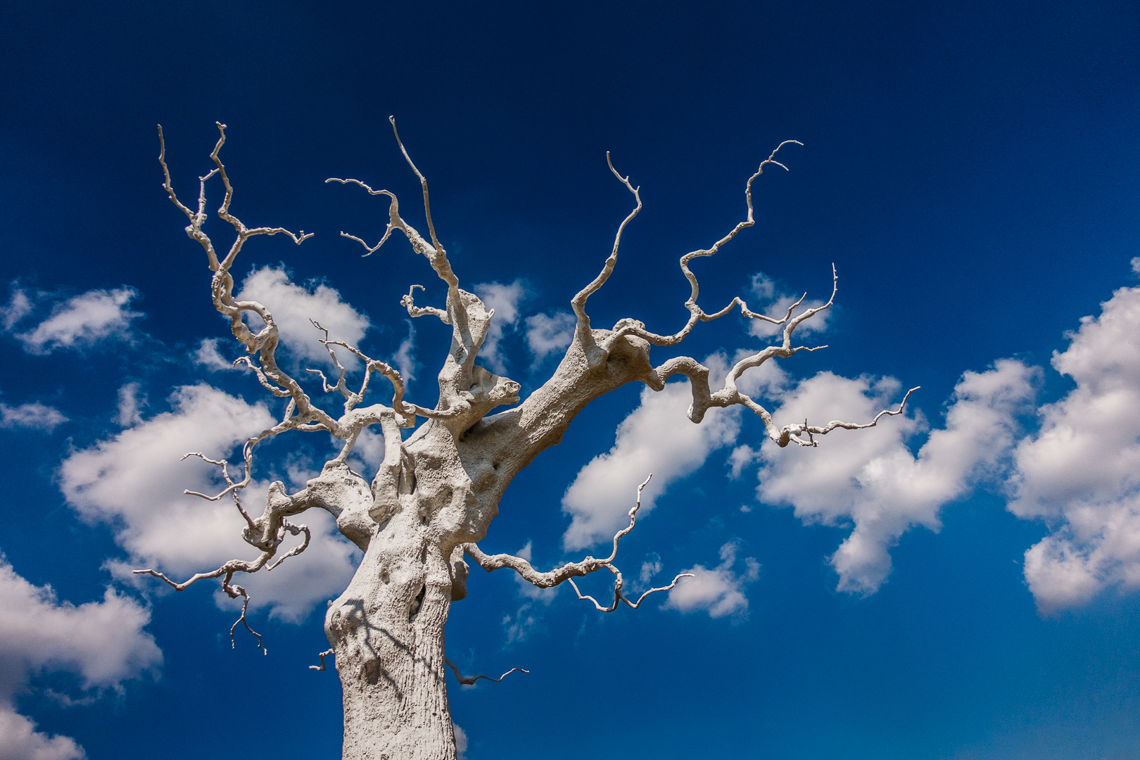 Baum in Weiß